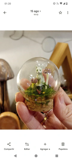 TERRARIO PEQUEÑO GATO Y HONGOS - comprar online