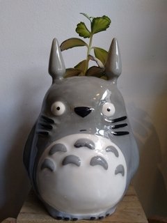TOTORO MACETA SERIO