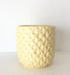 MACETA MINI PIÑA