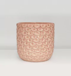 Imagen de MACETA MINI PIÑA