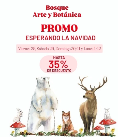 Carrusel BOSQUE, ARTE Y BOTÁNICA 