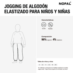 CONJUNTO JOGGING Y BUZO ALGODON ELASTIZADO GRIS MELANGE - tienda online