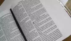 Biblia sagrada com ajudas adicionais e harpa capa dura media - leão colorido - loja online