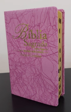 Bíblia sagrada com ajudas adicionais e harpa letra gigante capa luxo rosa raiz
