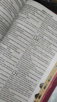 Kit bíblia sagrada pai & filha - biblia capa com ziper café + biblia boneca rosa - Mundial Records Editora