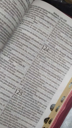 Bíblia sagrada letra gigante com harpa - capa com zíper floral branca - Mundial Records Editora