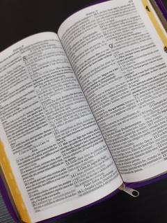 Biblia letra gigante com harpa - capa luxo elegance vermelha - loja online