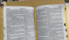 Bíblia sagrada com ajudas adicionais e harpa letra hipergigante capa luxo floral rosas - Mundial Records Editora