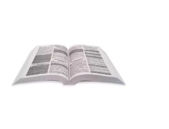 Kit Com 100 Biblias Sagrada Para Evangelismo Edição De Promessas 10 Cm X 13,5 Cm - Mundial Records Editora