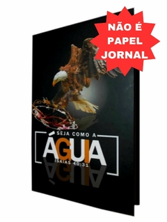 Bíblia capa dura especial com harpa - águia