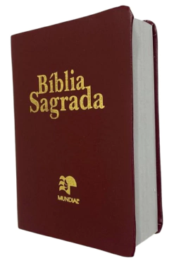 Bíblia pequena - capa luxo vinho