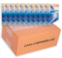Kit Com 100 Biblias Sagrada Para Evangelismo Edição De Promessas 10 Cm X 13,5 Cm