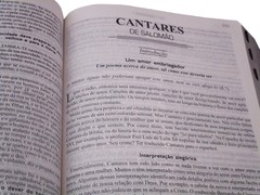 Biblia devocional de estudo - capa luxo marrom relevo