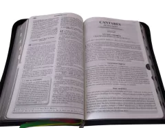 Biblia devocional de estudo - capa com ziper verde máscara