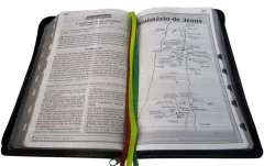 Biblia devocional de estudo - capa com ziper verde máscara