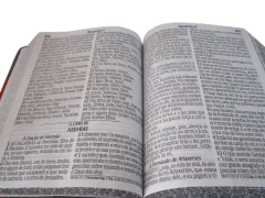 Bíblia letra jumbo com harpa - capa com ziper dourada quadros na internet