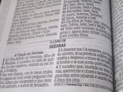 Bíblia letra jumbo com harpa - capa com ziper dourada quadros - Mundial Records Editora