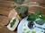 Imagen de Albahaca en Aceite Recetas de Entonces 85 gr