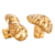 Hongos Shitake Villares Enteros 25 gr