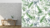 Mural 23 | Jungle Love en internet