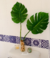 Guarda | Santorini - comprar online