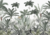 Mural | Tropical Calisto - comprar online