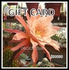 GIFT CARD $50000