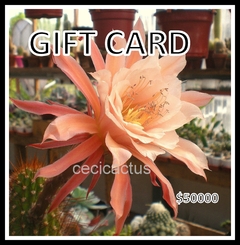 GIFT CARD $50000