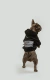HOODIE AMISTAD CHEWBACCA [ NEGRO - CARBON ] - LUXO | Ropa sin género para humanos.