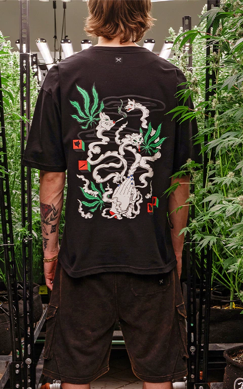 REMERA HUMO [ NEGRO ] - comprar online