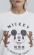 REMERA DISNEY SPIRIT OF TIGER [ TERRA ] en internet