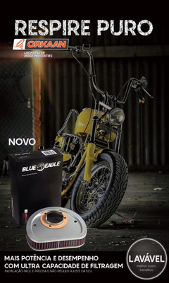 FILTRO DE AR BLUE EAGLE ORKAAN (HARLEY DAVIDSON LINHA TOURING) na internet