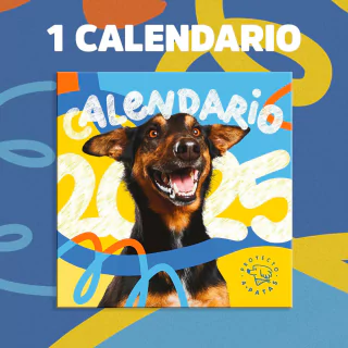 Calendario P4P 2025