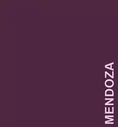 Papel Color Plus Mendoza 80g/m2 66x96 folha gráfica 1 un