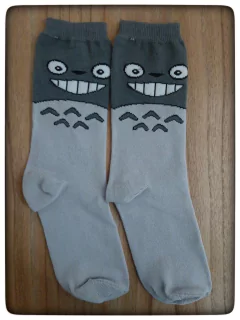 Medias Totoro