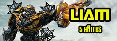 Acuarelas Transformers (AC 000100)