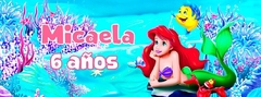 Alcancia La Sirenita (ALC 00157)