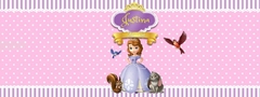 Alcancia Princesa Sofia (ALC 00198)
