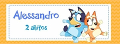 Alcancia Bluey (ALC 00255)