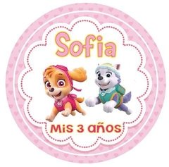 Stickers Paw Patrol (STK0400)