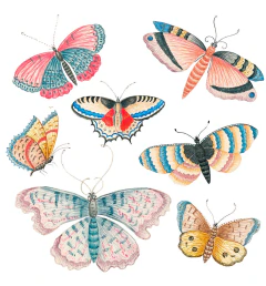 Imagen de DISEÑOS NATURALEZA PARA BORDAR