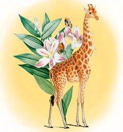 DISEÑOS NATURALEZA PARA BORDAR - tienda online