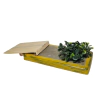 Veredita Arbusto CBA RAMPS