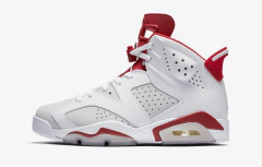 AIR JORDAN RETRO 6 "ALTERNATE"