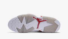 Imagen de AIR JORDAN RETRO 6 "ALTERNATE"