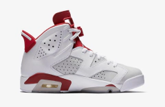 AIR JORDAN RETRO 6 "ALTERNATE" en internet