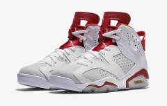 AIR JORDAN RETRO 6 "ALTERNATE" - comprar online