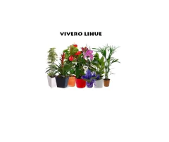 Lustre Vegetal - Envios - comprar online