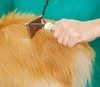 Imagen de CARDINA SACA NUDOS MARCA ANDIS MODELO 66050 PARA PERROS Y GATOS