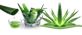 GEL REFRESCANTE Y DESCONGESTIVO CON ALOE VERA & VITAMINA E POR 1000 grs. MARCA COLLAGE * 16133 - TODOPELUQUERIAS